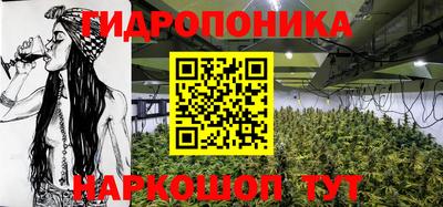 молекула духа Малоярославец