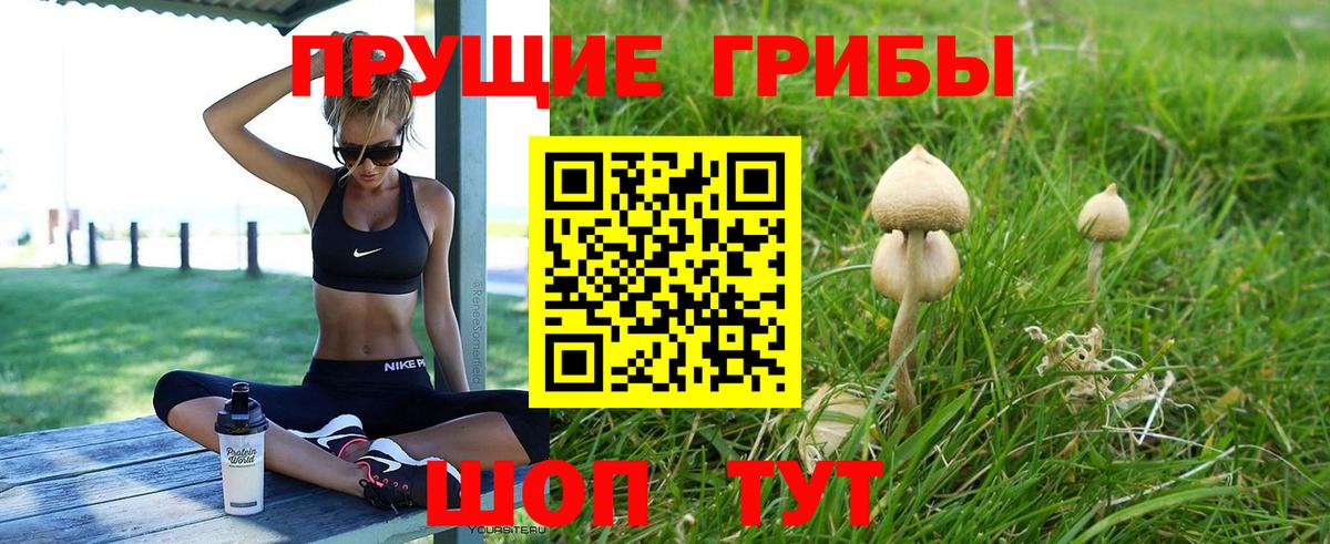 Галлюциногенные грибы прущие грибы  цены наркотик  Выкса  Псилоцибиновые грибы GOLDEN TEACHER  Вход с VPN 